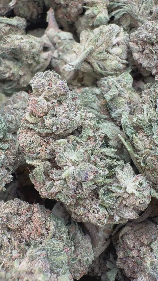 Grape Soda Minis - Bulk Minis - Sativa