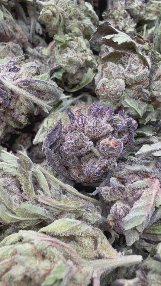 Banjerine - Bulk - Sativa