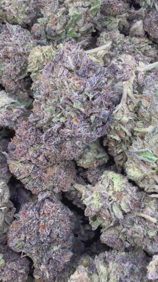 Purple Kush - Bulk - Indica