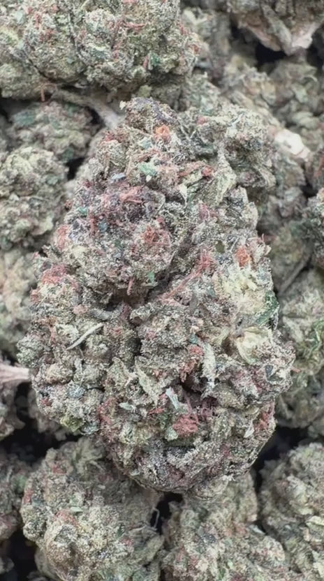 Orange Creamsicle - Bulk - Sativa