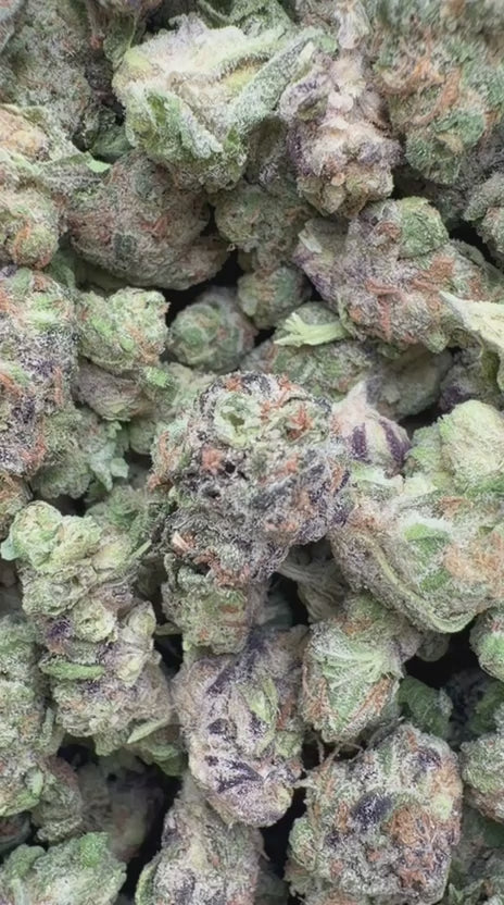 Peanut Butter Souffle Minis - Bulk Minis - Indica