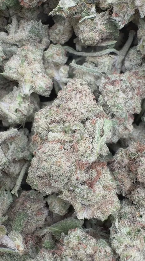 Slurricane Littles - Bulk Littles - Indica