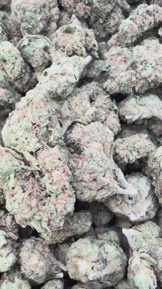 Sherblato - Bulk - Hybrid