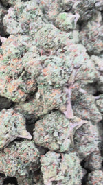 Georgia Pie - Bulk - Indica