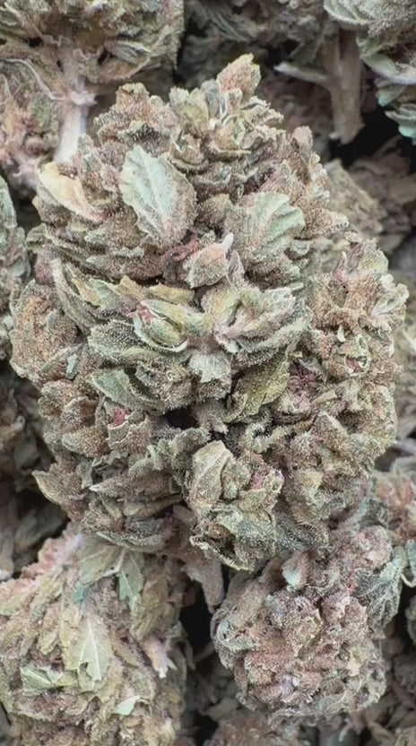 Durban Sweetz - Bulk - Sativa
