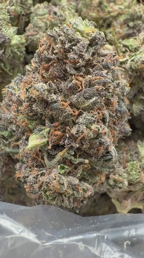 Grape Zkittles Indoor - Bulk - Hybrid
