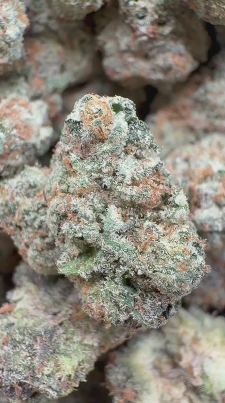 Gary Payton Indoor - Bulk - Hybrid