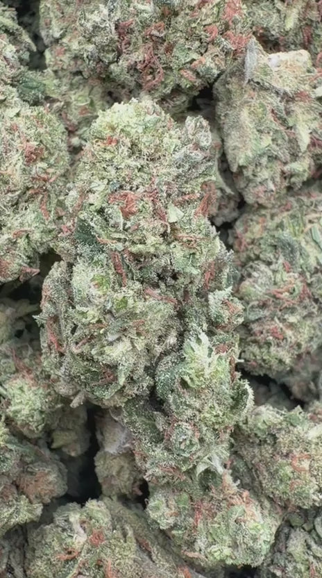Beyond Blue Dream - Bulk - Sativa