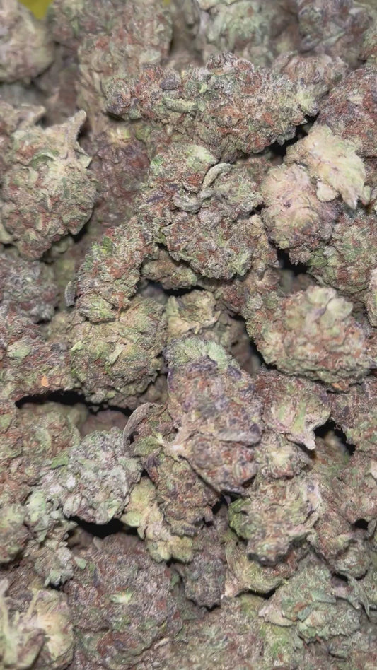 Slurty - Bulk - Indica