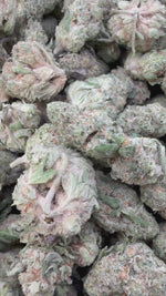 Super Lemon Haze Mediums - Bulk Mediums - Sativa