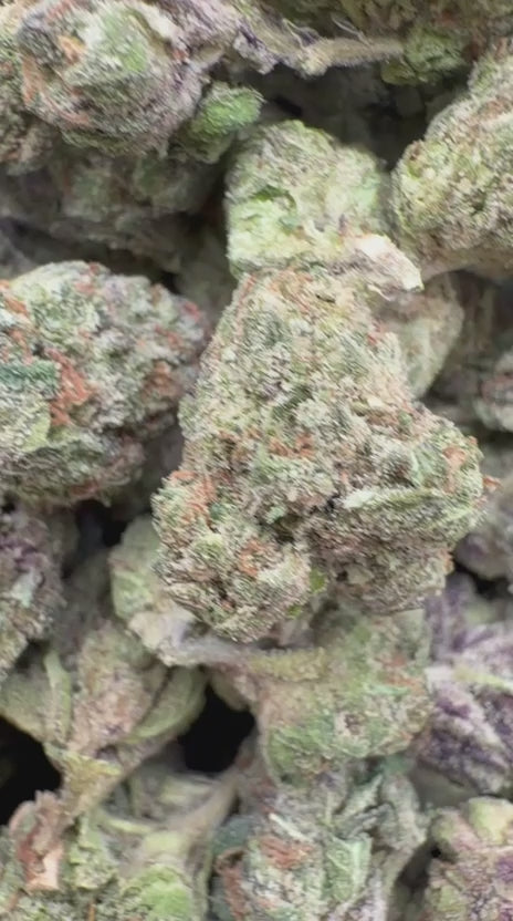 Lemon Cherry Gelato Indoor Mediums - Bulk - Indica