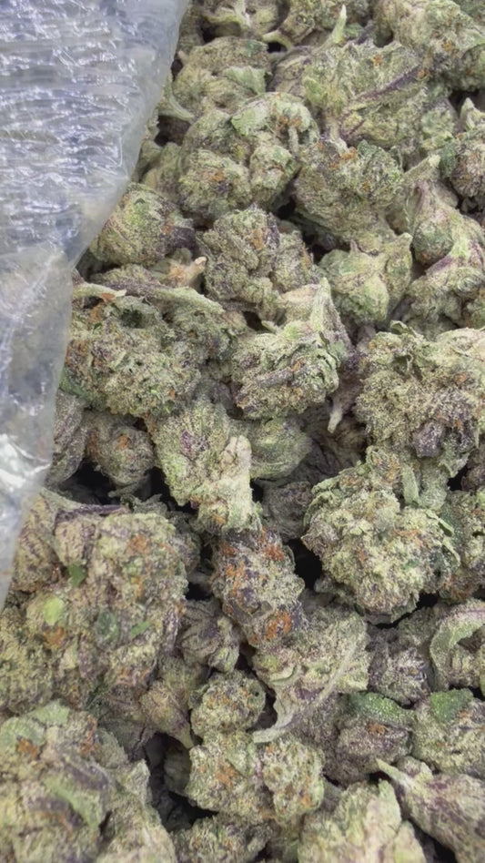 Candy Runtz Minis - Bulk Minis - Hybrid