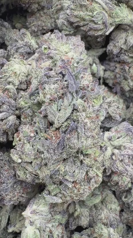 Oreoz - Bulk - Indica