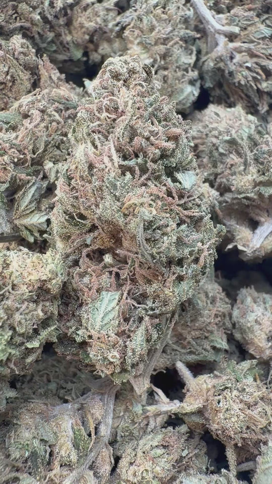 Maui Wowie - Bulk - Sativa