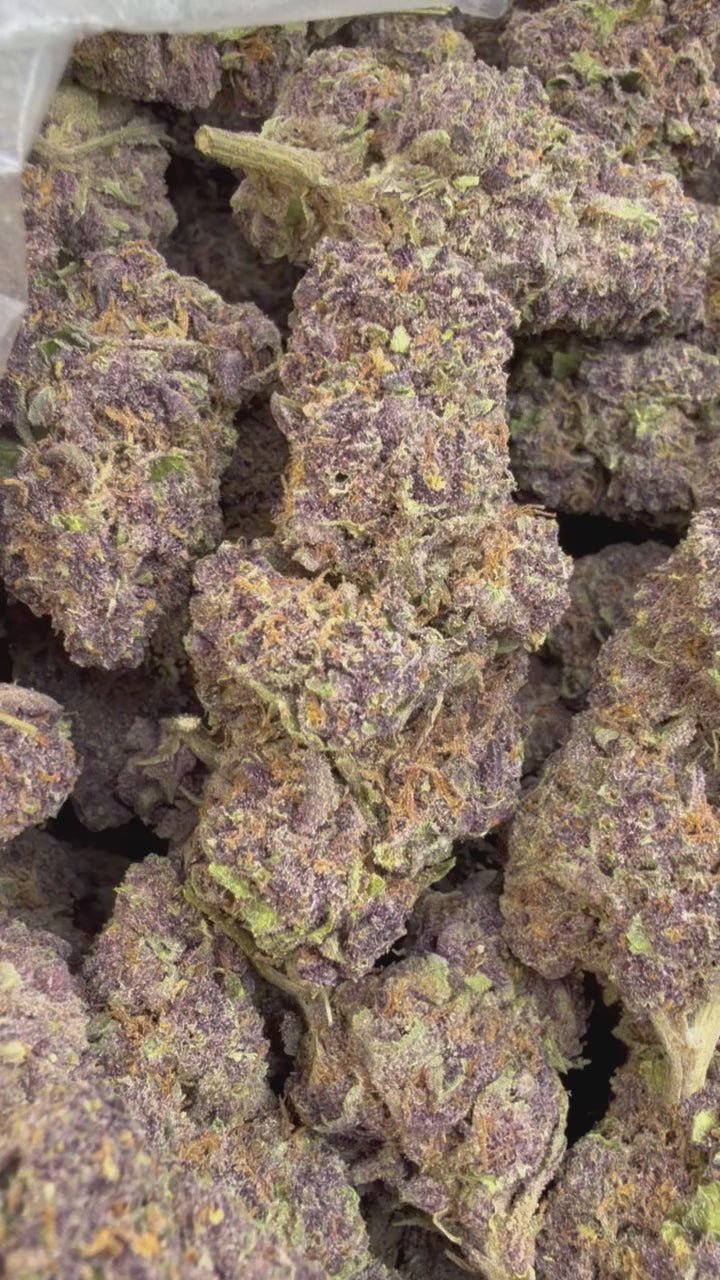 Granddaddy Purple - Bulk - Indica – Smoke Kind