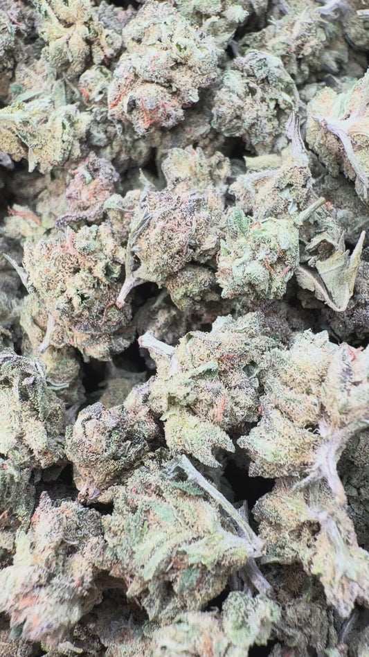 Sugar Cookies Minis - Bulk Minis - Indica