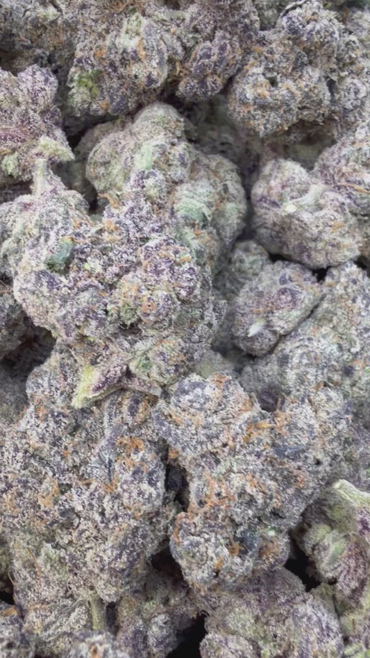 Indoor Exotic Zkittles x Mochi - Bulk - Hybrid