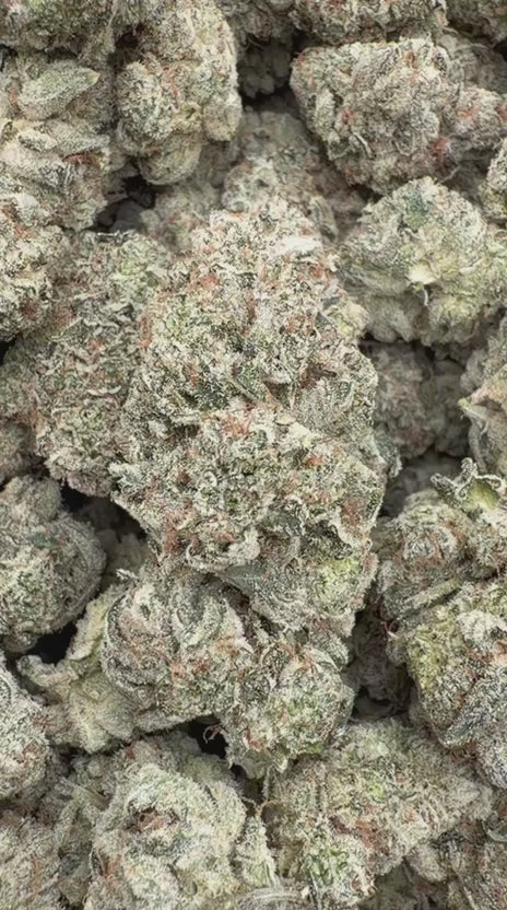 Gorilla Glue Indoor - Bulk - Hybrid