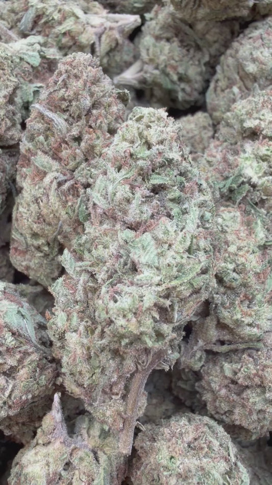 Space Runtz - Bulk - Hybrid