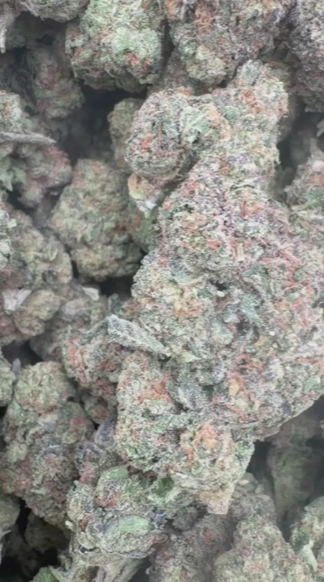 LA Pop Rocks - Bulk - Indica