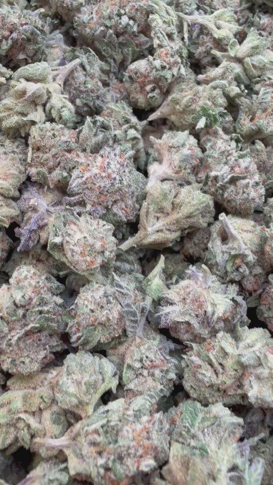 Mega OG Minis - Bulk Minis- Indica