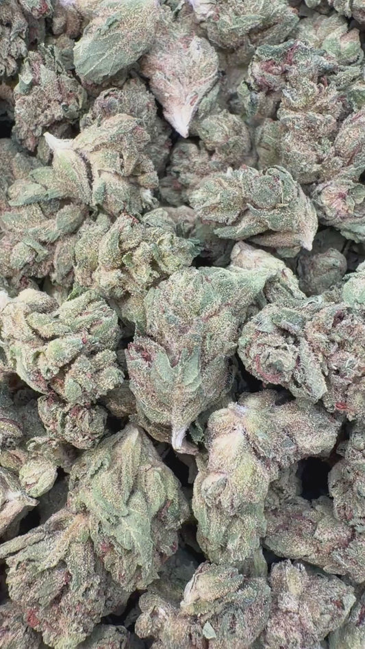 Mega OG Minis - Bulk Minis- Indica