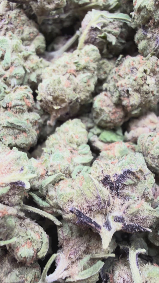 Gelato 33 Mediums - Bulk Mediums - Hybrid