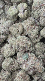 Grease Monkey - Bulk- Indica