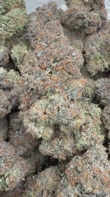 Nuclear Zkittlez Indoor - Bulk - Hybrid