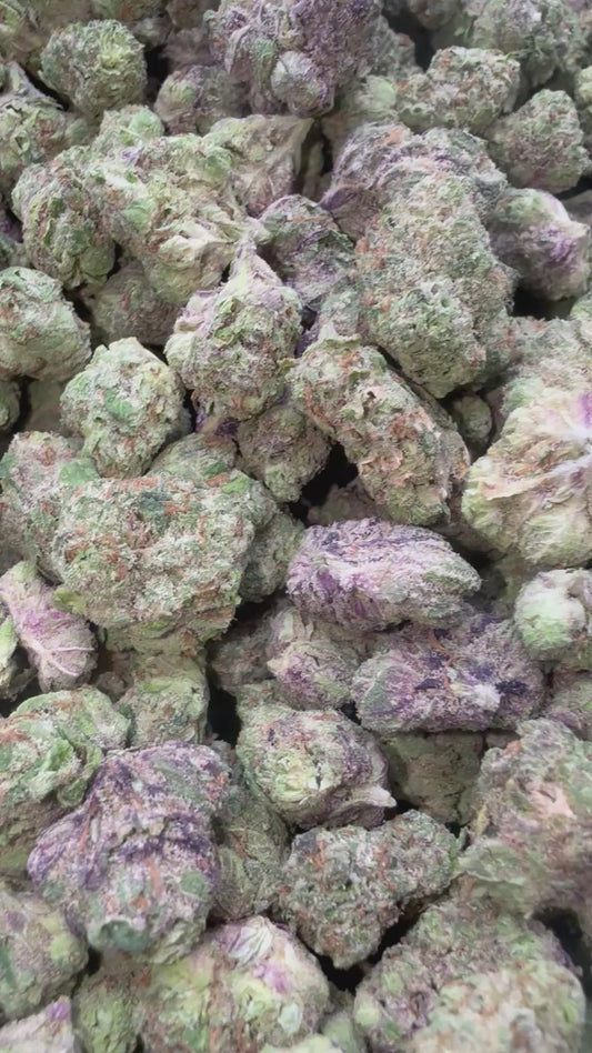 Frosted Pebbles Indoor Minis - Bulk Minis - Indica