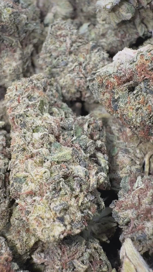 Sunset Sherbet - Bulk- Indica