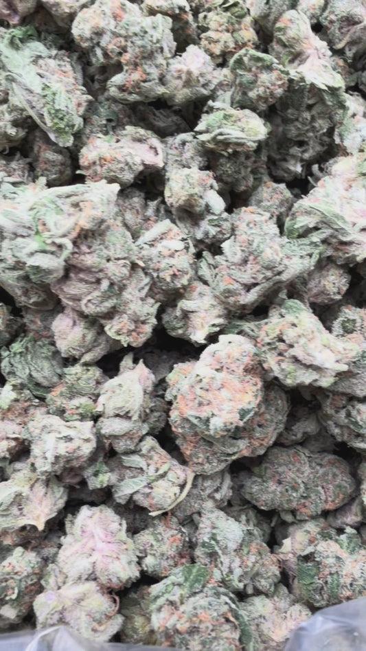 Super Boof Minis - Bulk Minis - Hybrid