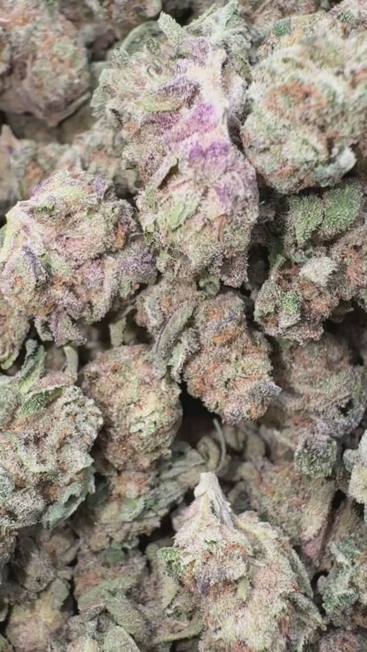 Nimbus Snacks Minis - Bulk Minis - Hybrid