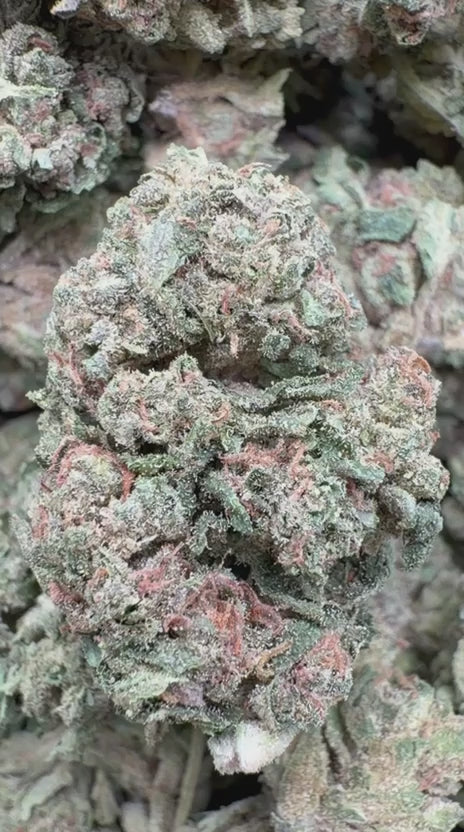 Grape Soda - Bulk - Sativa