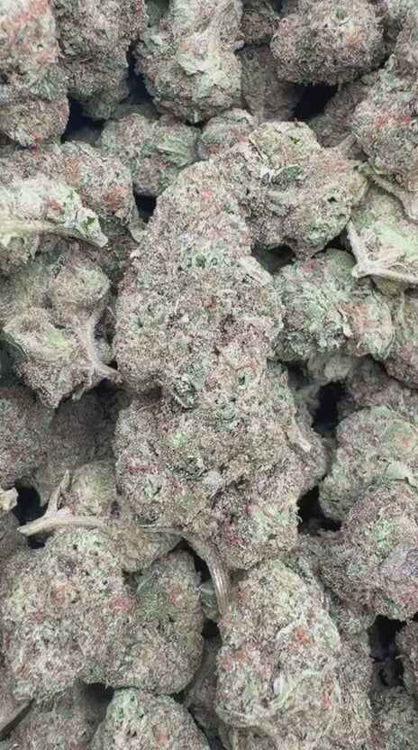 Jolly Ranchers - Bulk - Indica