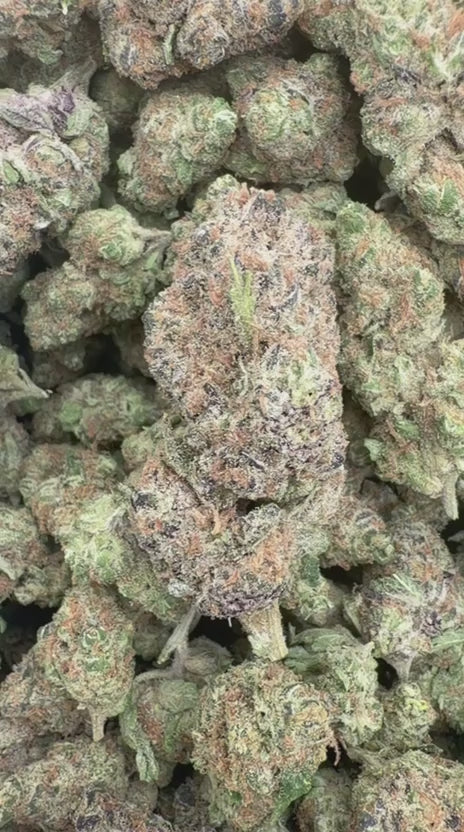 Peanut Butter Cup - Bulk - Indica