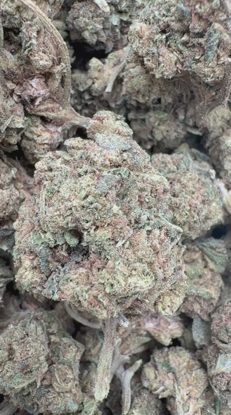 GMO - Bulk - Indica