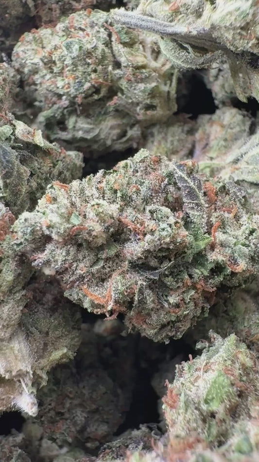 Venom OG - Bulk - Indica