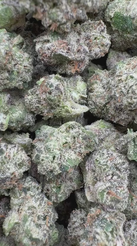 Boutique Exotics Crunch Berries Minis - Bulk Minis - Indica