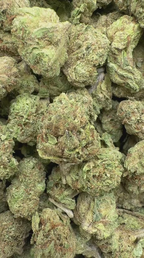 Candy Runtz Minis - Bulk Minis - Hybrid