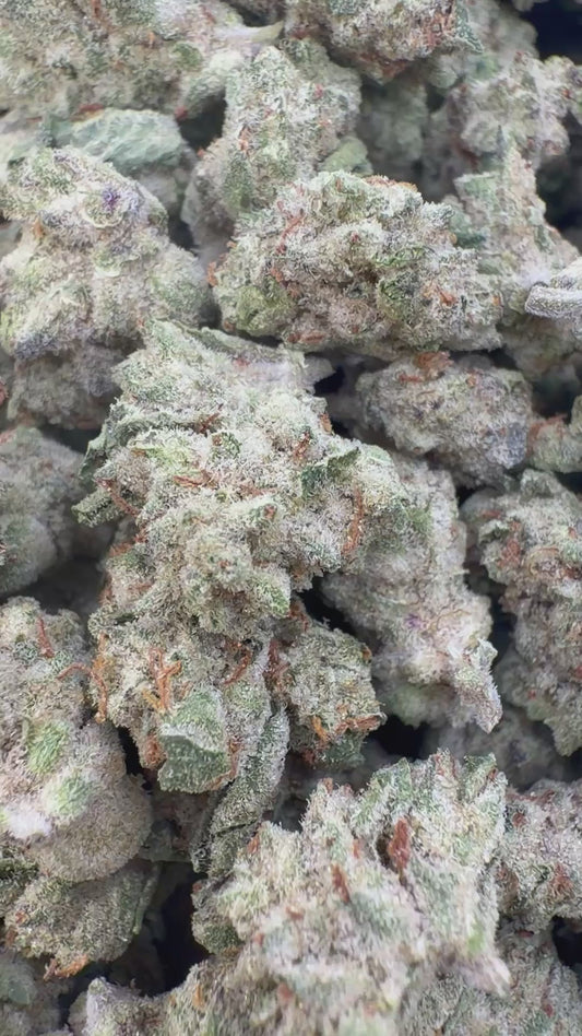 Grape Ape Indoor Minis - Bulk Minis - Hybrid