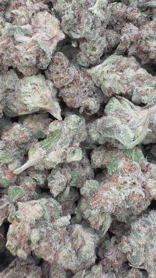 Bruce Banner Indoor Minis - Bulk Minis - Hybrid