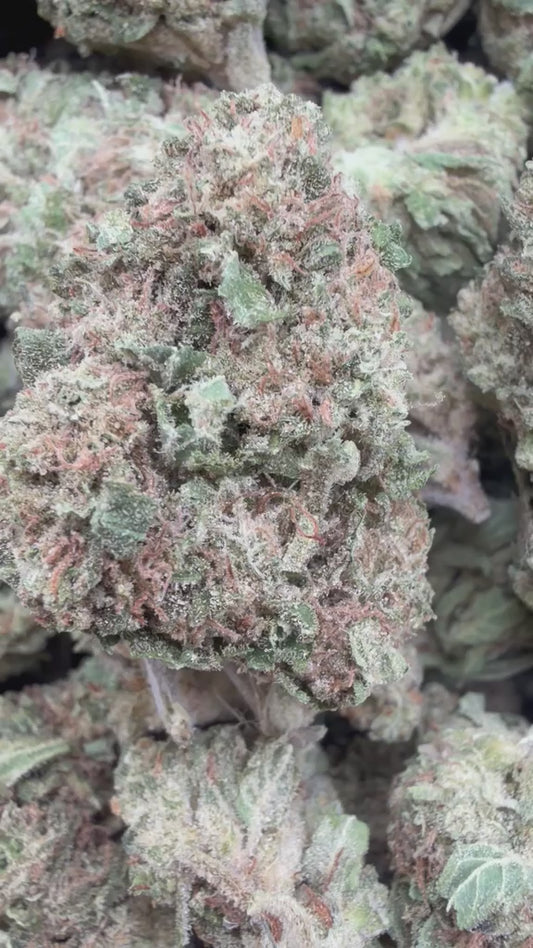 Diesel Frost - Bulk - Sativa