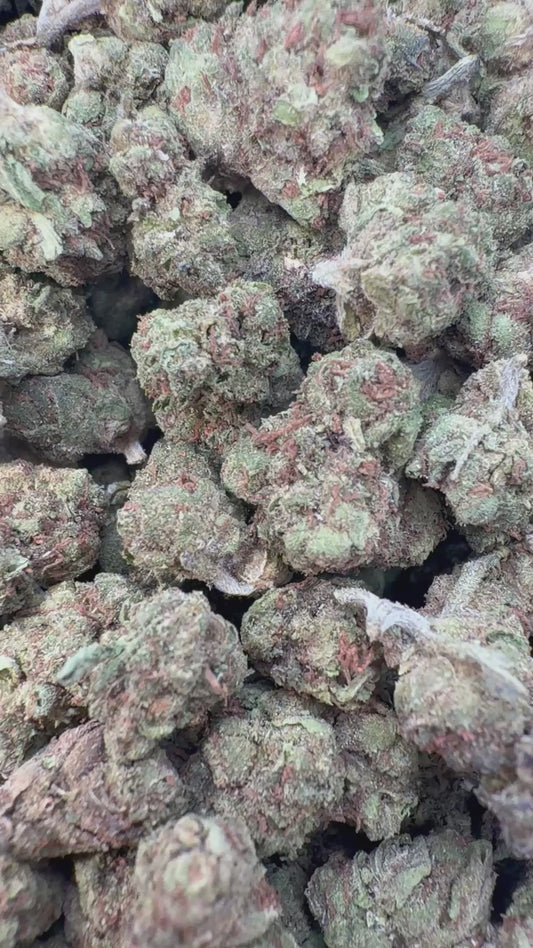 Super Boof Minis - Bulk Minis - Hybrid