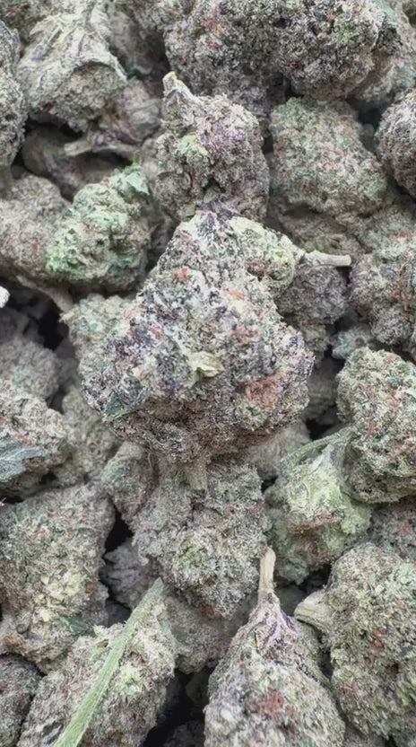 White Nerds Mediums - Bulk Mediums - Hybrid