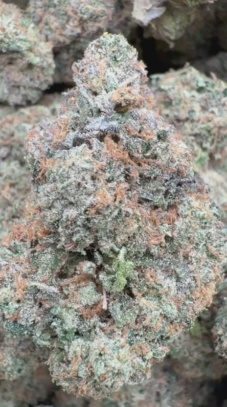 Nuclear Zkittlez Indoor - Bulk - Hybrid
