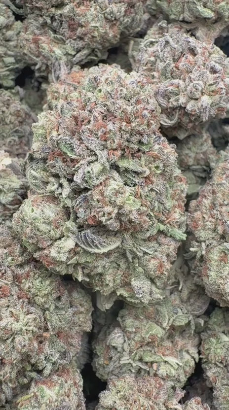 Oreoz Indoor - Bulk - Indica