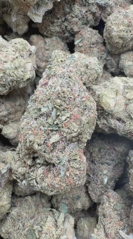 Mochi Gelato - Bulk - Indica