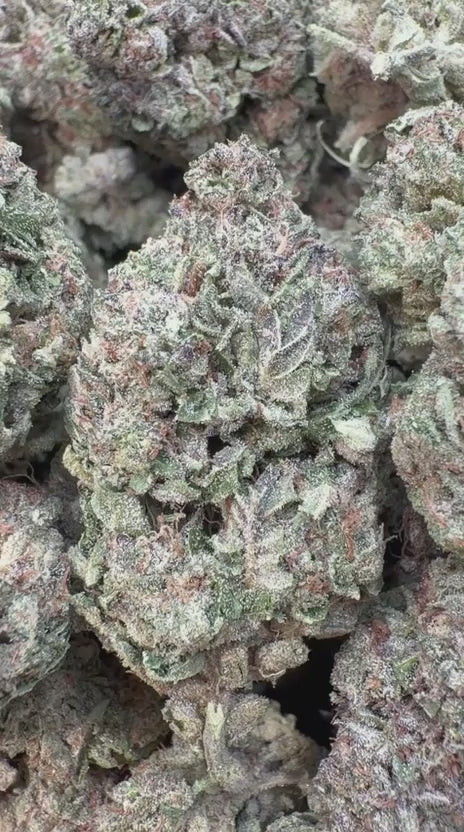 Ice Cream Cake - Bulk - Indica