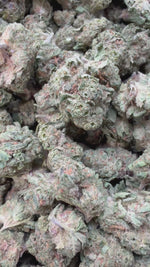 Gelato Kush Mediums - Bulk Mediums - Indica